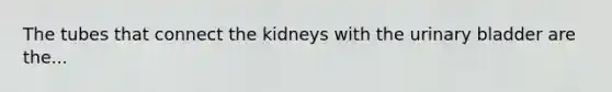 The tubes that connect the kidneys with the urinary bladder are the...