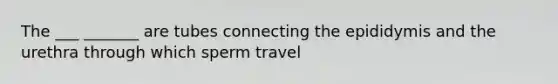 The ___ _______ are tubes connecting the epididymis and the urethra through which sperm travel