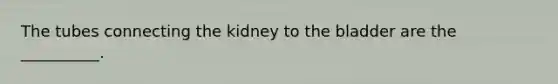 The tubes connecting the kidney to the bladder are the __________.