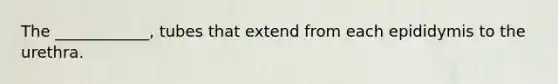 The ____________, tubes that extend from each epididymis to the urethra.