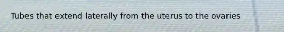 Tubes that extend laterally from the uterus to the ovaries