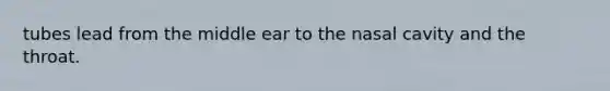 tubes lead from the middle ear to the nasal cavity and the throat.