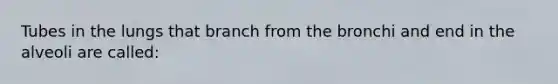 Tubes in the lungs that branch from the bronchi and end in the alveoli are called: