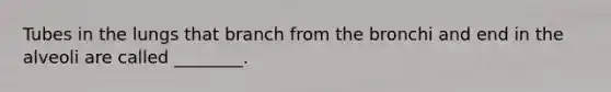 Tubes in the lungs that branch from the bronchi and end in the alveoli are called ________.