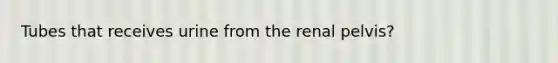 Tubes that receives urine from the renal pelvis?