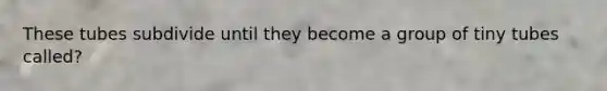 These tubes subdivide until they become a group of tiny tubes called?