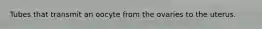 Tubes that transmit an oocyte from the ovaries to the uterus.