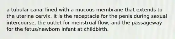 a tubular canal lined with a mucous membrane that extends to the uterine cervix. It is the receptacle for the penis during sexual intercourse, the outlet for menstrual flow, and the passageway for the fetus/newborn infant at childbirth.