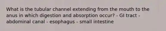 What is the tubular channel extending from the mouth to the anus in which digestion and absorption occur? - GI tract - abdominal canal - esophagus - small intestine