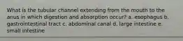 What is the tubular channel extending from the mouth to the anus in which digestion and absorption occur? a. esophagus b. gastrointestinal tract c. abdominal canal d. large intestine e. small intestine