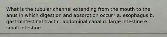 What is the tubular channel extending from the mouth to the anus in which digestion and absorption occur? a. esophagus b. gastrointestinal tract c. abdominal canal d. large intestine e. small intestine