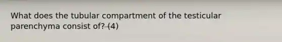 What does the tubular compartment of the testicular parenchyma consist of? (4)