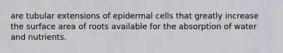 are tubular extensions of epidermal cells that greatly increase the <a href='https://www.questionai.com/knowledge/kEtsSAPENL-surface-area' class='anchor-knowledge'>surface area</a> of roots available for the absorption of water and nutrients.