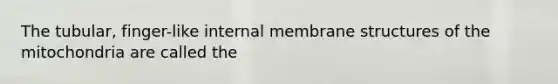 The tubular, finger-like internal membrane structures of the mitochondria are called the