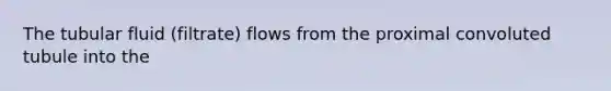 The tubular fluid (filtrate) flows from the proximal convoluted tubule into the