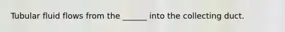 Tubular fluid flows from the ______ into the collecting duct.