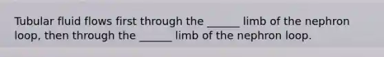 Tubular fluid flows first through the ______ limb of the nephron loop, then through the ______ limb of the nephron loop.