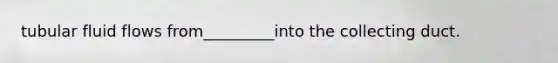tubular fluid flows from_________into the collecting duct.