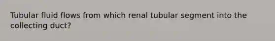 Tubular fluid flows from which renal tubular segment into the collecting duct?