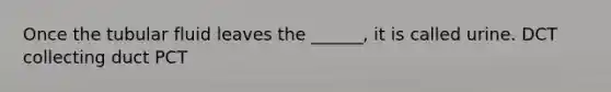 Once the tubular fluid leaves the ______, it is called urine. DCT collecting duct PCT