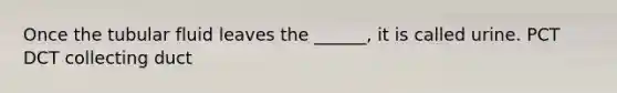 Once the tubular fluid leaves the ______, it is called urine. PCT DCT collecting duct