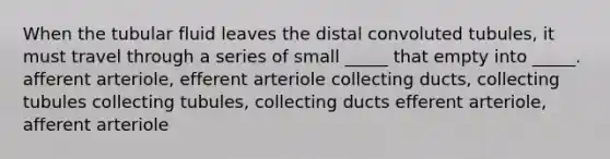 When the tubular fluid leaves the distal convoluted tubules, it must travel through a series of small _____ that empty into _____. afferent arteriole, efferent arteriole collecting ducts, collecting tubules collecting tubules, collecting ducts efferent arteriole, afferent arteriole