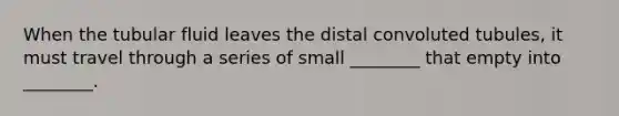 When the tubular fluid leaves the distal convoluted tubules, it must travel through a series of small ________ that empty into ________.