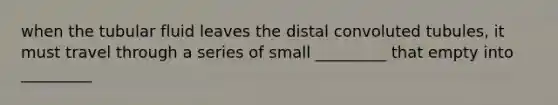 when the tubular fluid leaves the distal convoluted tubules, it must travel through a series of small _________ that empty into _________