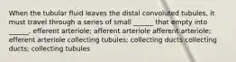 When the tubular fluid leaves the distal convoluted tubules, it must travel through a series of small ______ that empty into ______. efferent arteriole; afferent arteriole afferent arteriole; efferent arteriole collecting tubules; collecting ducts collecting ducts; collecting tubules