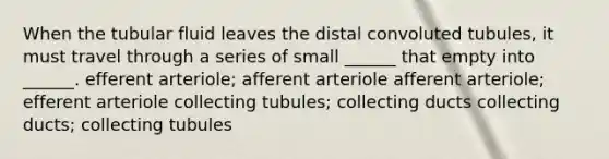 When the tubular fluid leaves the distal convoluted tubules, it must travel through a series of small ______ that empty into ______. efferent arteriole; afferent arteriole afferent arteriole; efferent arteriole collecting tubules; collecting ducts collecting ducts; collecting tubules