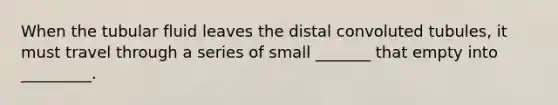 When the tubular fluid leaves the distal convoluted tubules, it must travel through a series of small _______ that empty into _________.