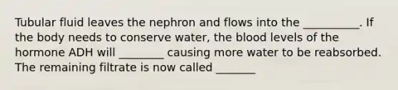 Tubular fluid leaves the nephron and flows into the __________. If the body needs to conserve water, the blood levels of the hormone ADH will ________ causing more water to be reabsorbed. The remaining filtrate is now called _______