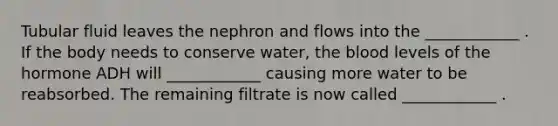 Tubular fluid leaves the nephron and flows into the ____________ . If the body needs to conserve water, the blood levels of the hormone ADH will ____________ causing more water to be reabsorbed. The remaining filtrate is now called ____________ .