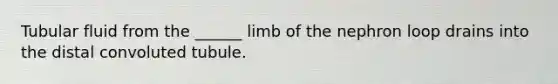 Tubular fluid from the ______ limb of the nephron loop drains into the distal convoluted tubule.