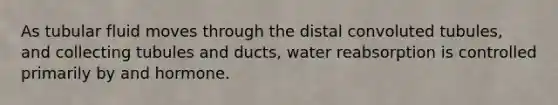 As tubular fluid moves through the distal convoluted tubules, and collecting tubules and ducts, water reabsorption is controlled primarily by and hormone.