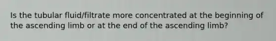 Is the tubular fluid/filtrate more concentrated at the beginning of the ascending limb or at the end of the ascending limb?