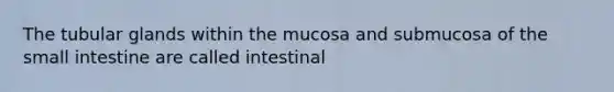 The tubular glands within the mucosa and submucosa of the small intestine are called intestinal