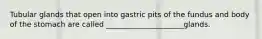 Tubular glands that open into gastric pits of the fundus and body of the stomach are called _____________________glands.