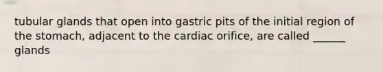 tubular glands that open into gastric pits of the initial region of the stomach, adjacent to the cardiac orifice, are called ______ glands