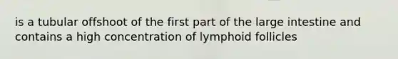 is a tubular offshoot of the first part of the large intestine and contains a high concentration of lymphoid follicles