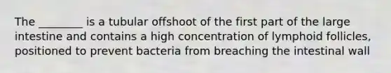 The ________ is a tubular offshoot of the first part of the large intestine and contains a high concentration of lymphoid follicles, positioned to prevent bacteria from breaching the intestinal wall