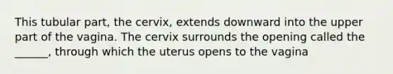 This tubular part, the cervix, extends downward into the upper part of the vagina. The cervix surrounds the opening called the ______, through which the uterus opens to the vagina