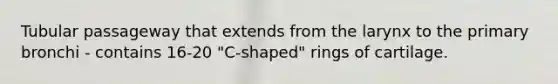 Tubular passageway that extends from the larynx to the primary bronchi - contains 16-20 "C-shaped" rings of cartilage.
