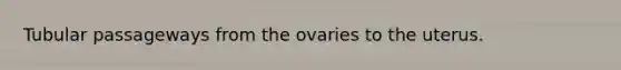 Tubular passageways from the ovaries to the uterus.