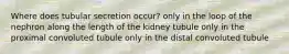 Where does tubular secretion occur? only in the loop of the nephron along the length of the kidney tubule only in the proximal convoluted tubule only in the distal convoluted tubule