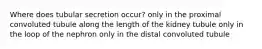 Where does tubular secretion occur? only in the proximal convoluted tubule along the length of the kidney tubule only in the loop of the nephron only in the distal convoluted tubule