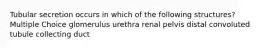 Tubular secretion occurs in which of the following structures? Multiple Choice glomerulus urethra renal pelvis distal convoluted tubule collecting duct