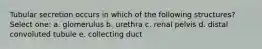 Tubular secretion occurs in which of the following structures? Select one: a. glomerulus b. urethra c. renal pelvis d. distal convoluted tubule e. collecting duct