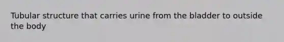 Tubular structure that carries urine from the bladder to outside the body