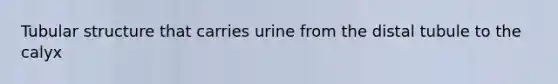 Tubular structure that carries urine from the distal tubule to the calyx